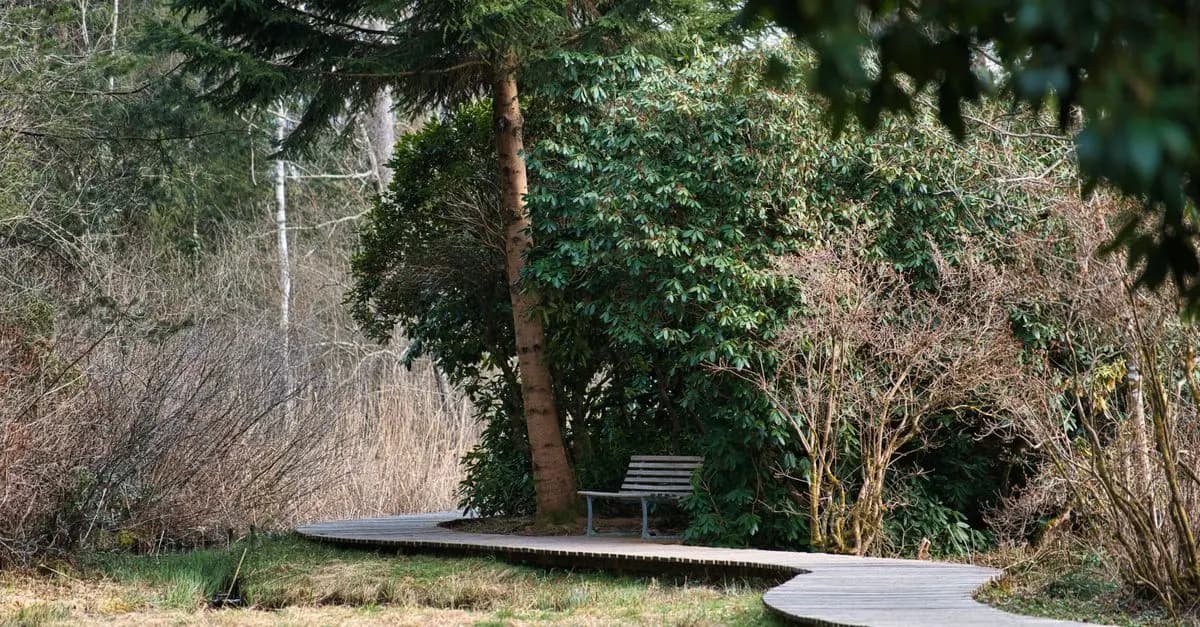 10 Relaxing Weekend Activities to Unwind and Recharge