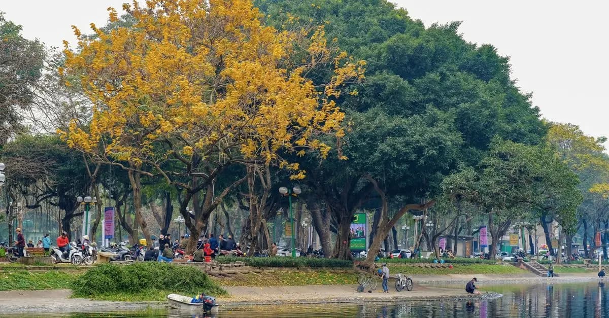 The Best Ways to Explore Urban Parks