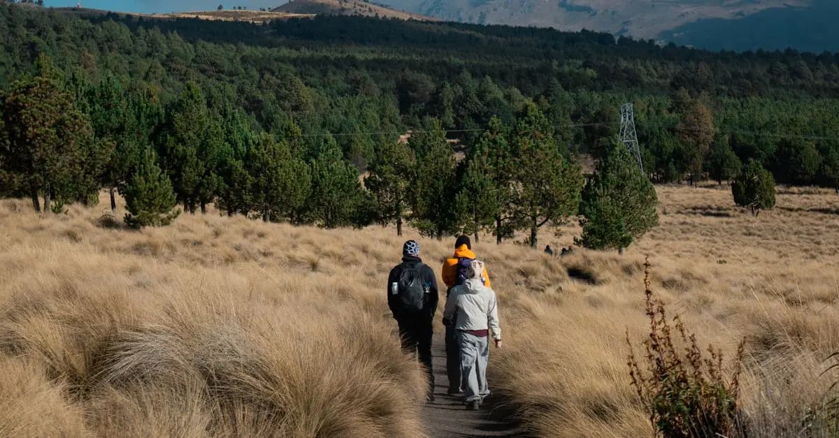 The Best Scenic Hiking Trails in North America