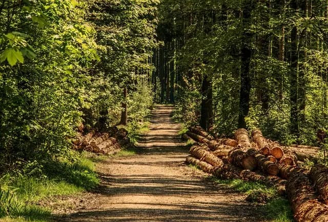 10 Outdoor Activities to Boost Your Wellbeing