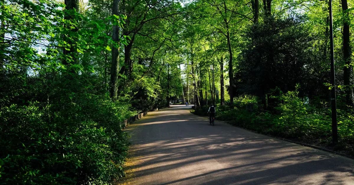 Exploring the Benefits of Cycling for Leisure