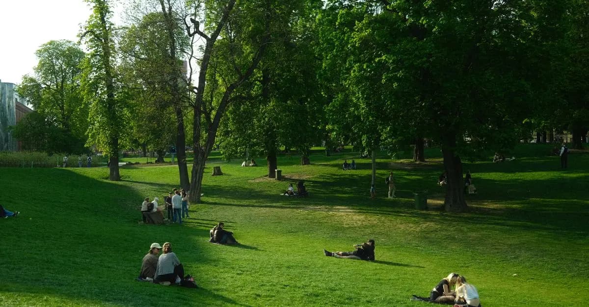 Understanding the Latest Leisure Trends to Embrace in 2026