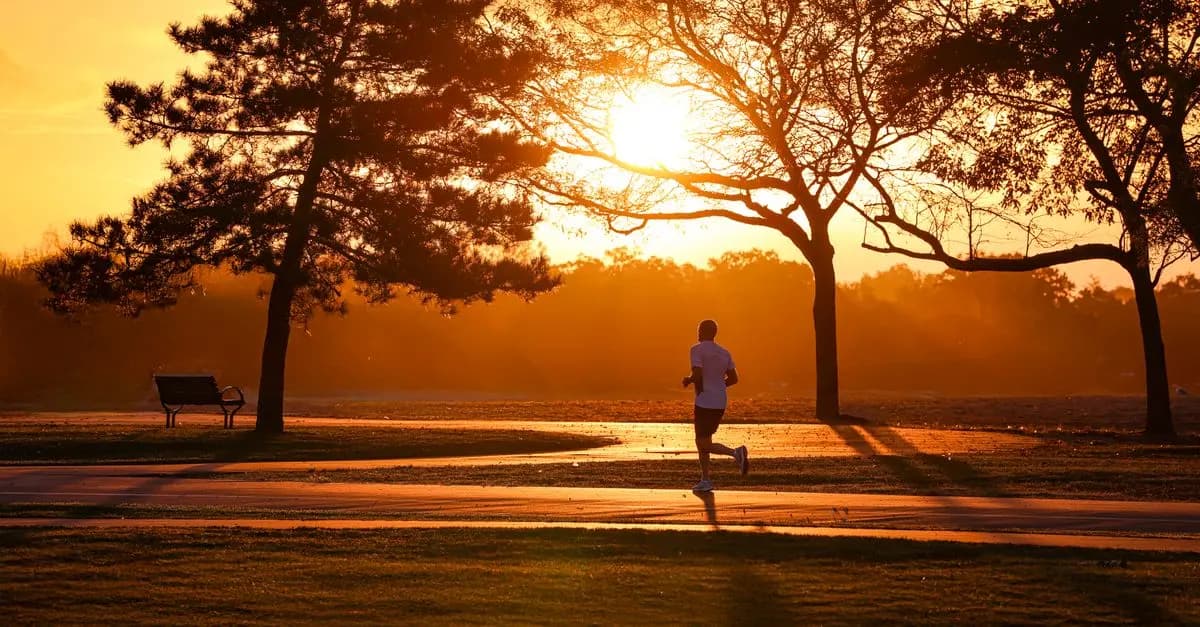 The Best Running Routes in Urban Settings