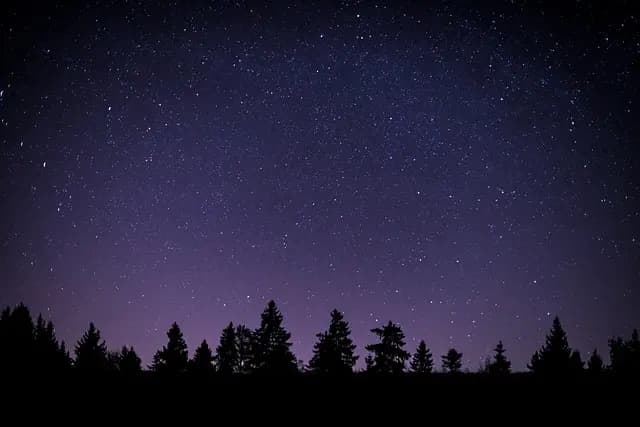 Embracing the Outdoors: 10 Unique Nature Activities