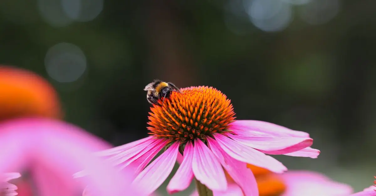 Exploring Unconventional Hobbies for Personal Growth