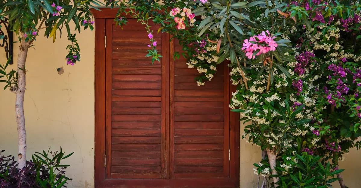 Home Gardening Tips for Beginners