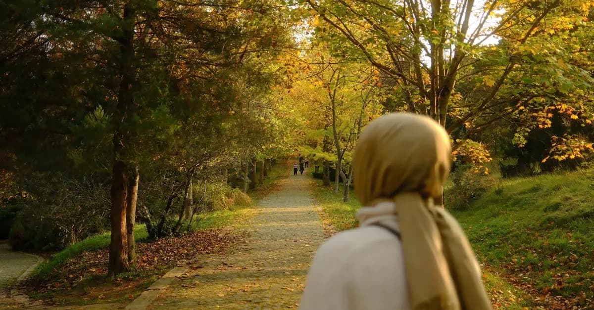 The Benefits of Walking: Health and Beyond