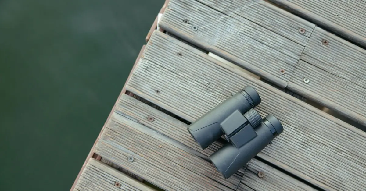 Understanding the Basics of Birdwatching