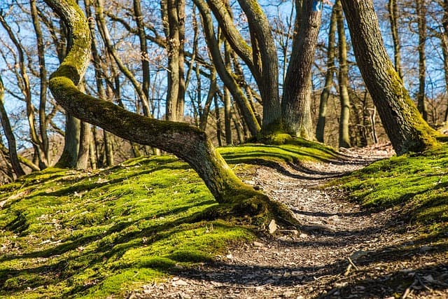 10 Engaging Outdoor Activities for Family Bonding