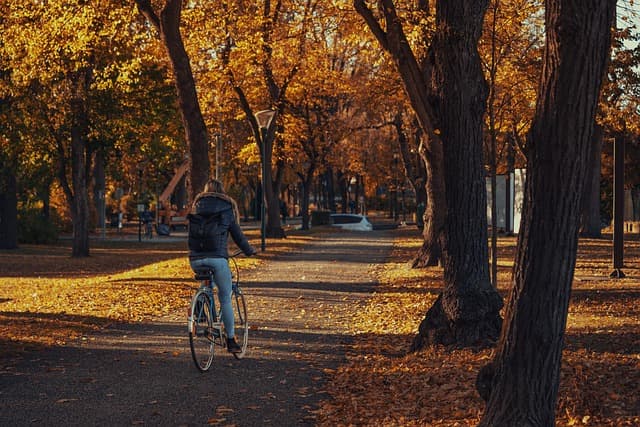 The Benefits of Integrating Leisure Activities into Your Daily Routine
